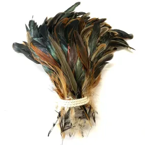 Coque Tail Feathers 8-10" 240mm - 10 grams - Natural Bronze