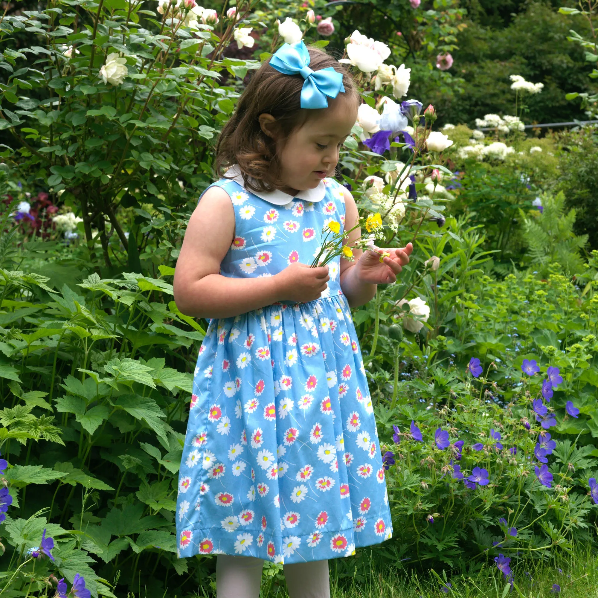 Daisy Peter Pan Collar Dress