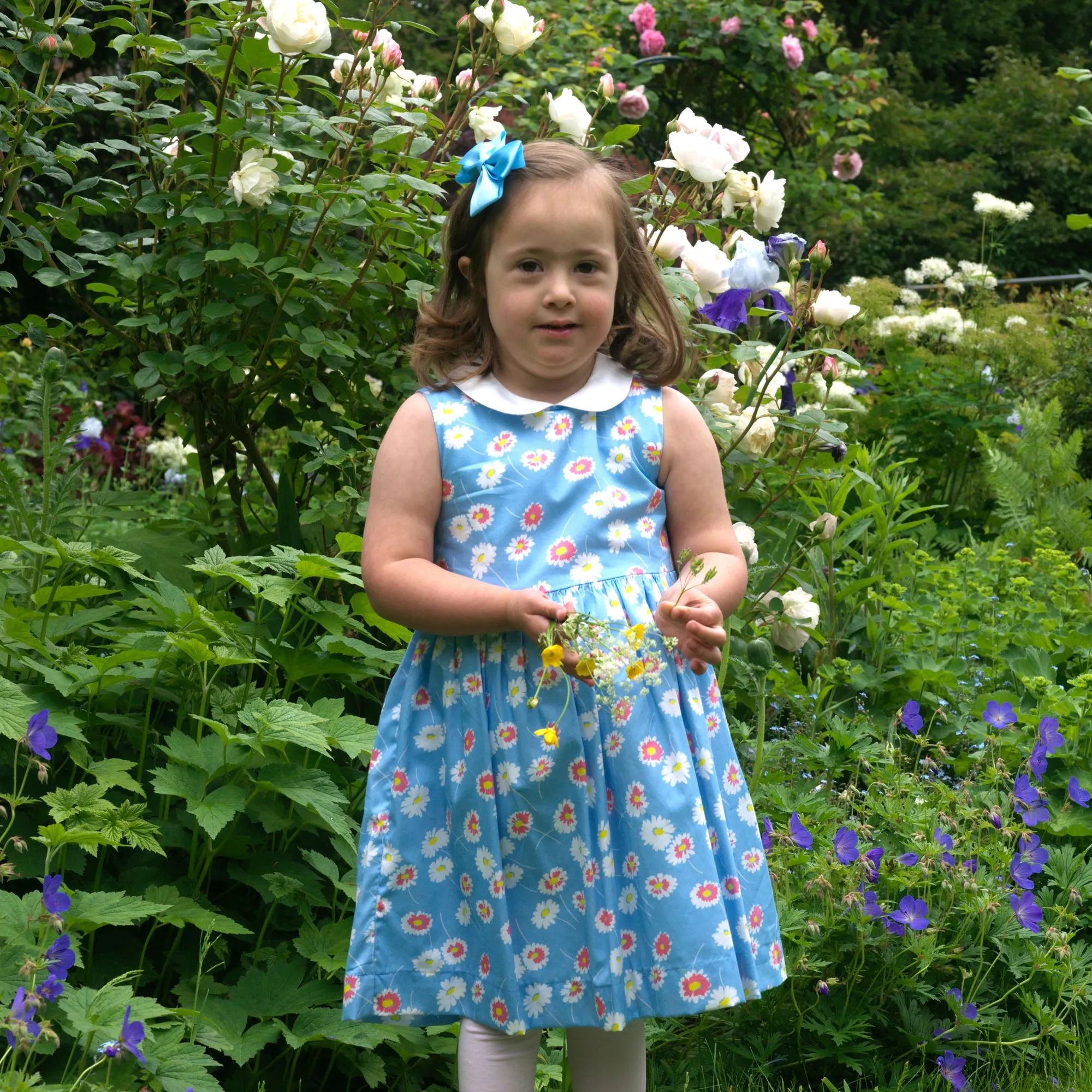 Daisy Peter Pan Collar Dress