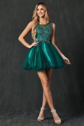 Embroidered Bodice Tulle Skirt Dress, Short. For Cocktail & Homecoming