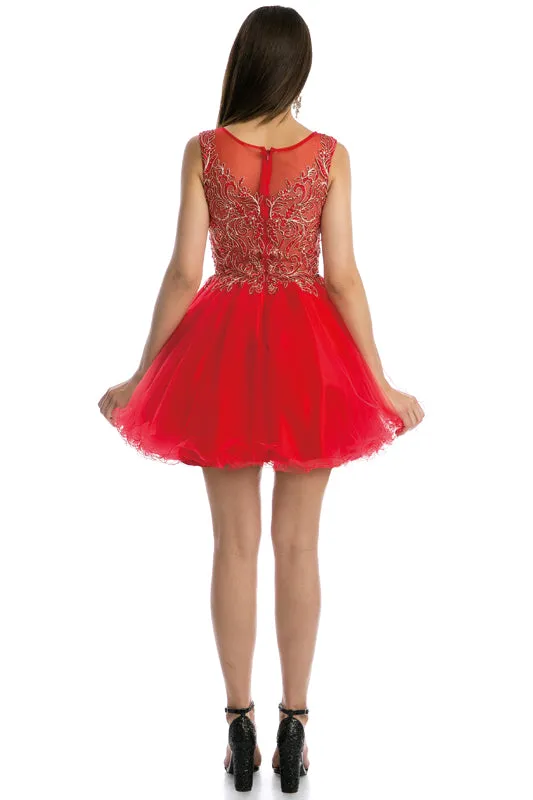 Embroidered Bodice Tulle Skirt Dress, Short. For Cocktail & Homecoming