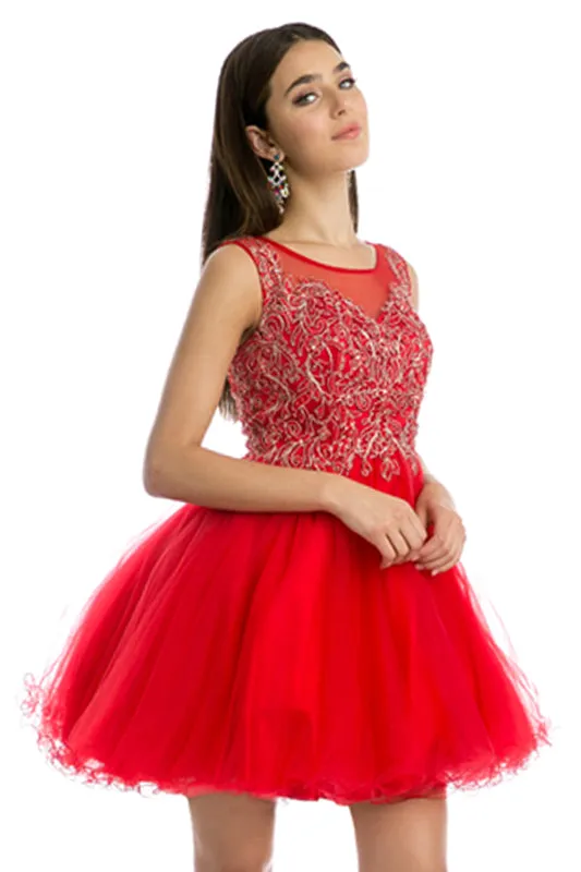 Embroidered Bodice Tulle Skirt Dress, Short. For Cocktail & Homecoming