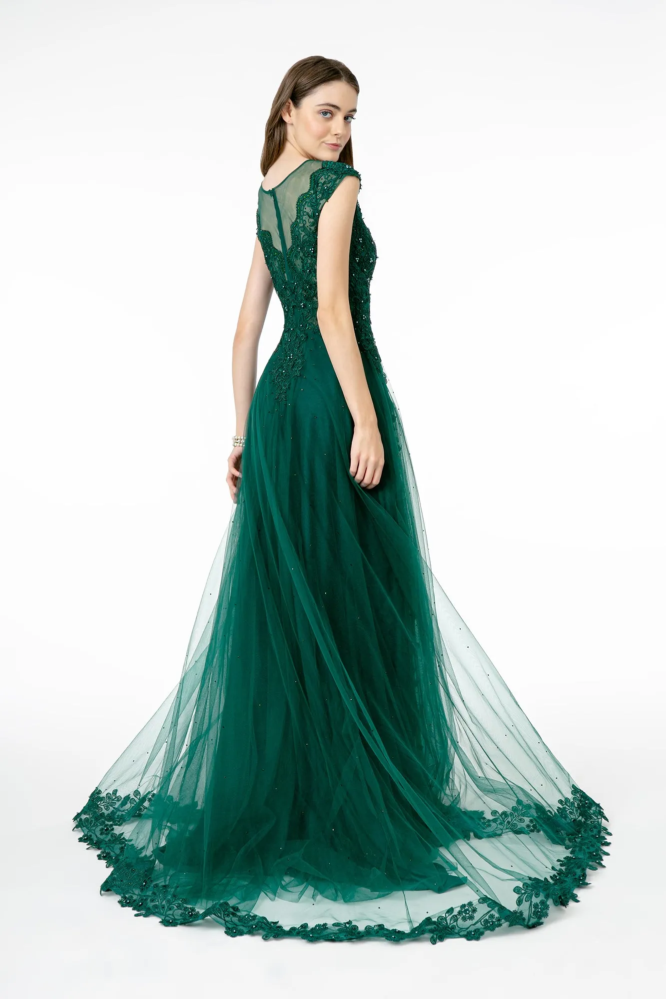 Embroidered Mesh A-Line w/ Sheer Back Long Prom Dress GLGL2882