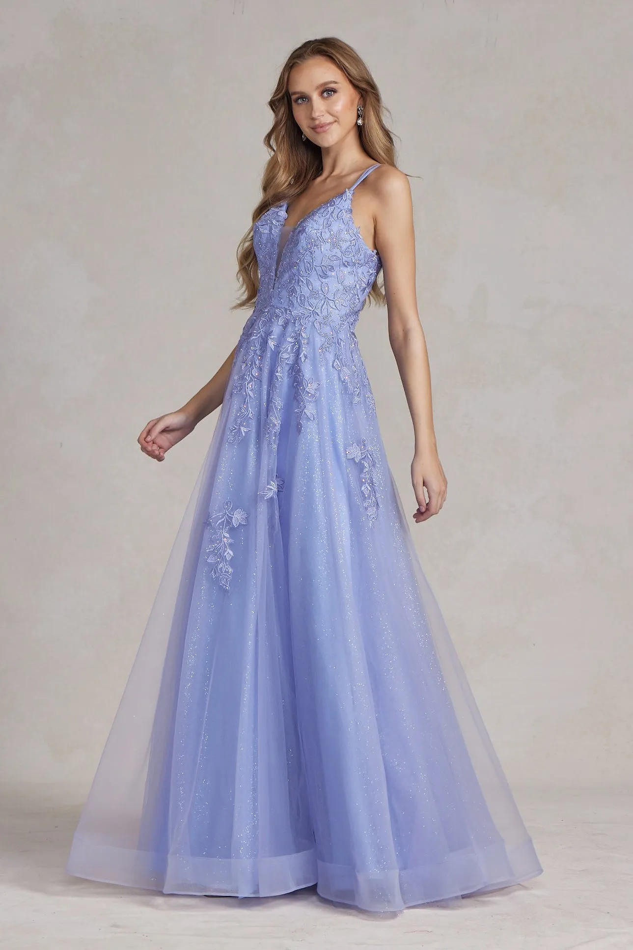 Illusion V-Neck Embroidered Lace Straps Open Back Long Dress