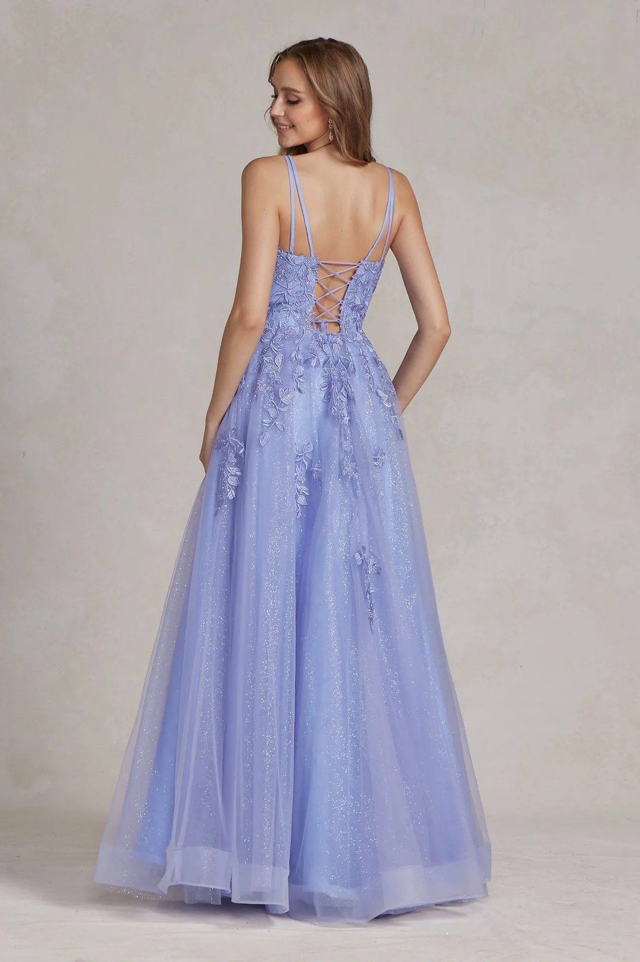 Illusion V-Neck Embroidered Lace Straps Open Back Long Dress