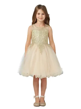Little Girls Champagne Gold Tulle Short Pageant Easter Dress 2-6