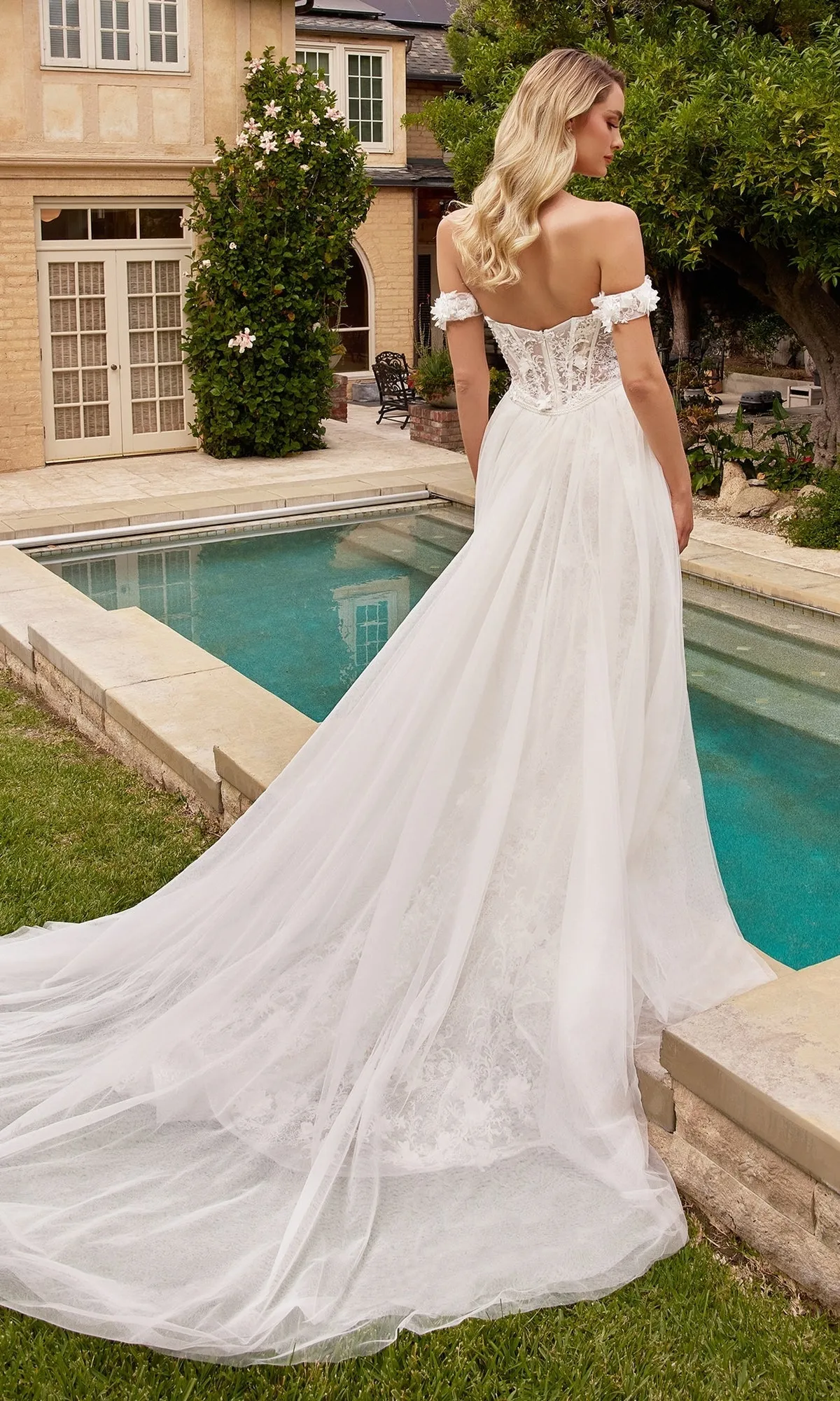 Long Formal Dress CD861W by Ladivine