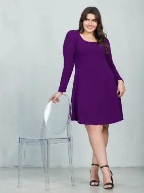 Long Sleeve Knee Length Plus Size Skater Dress