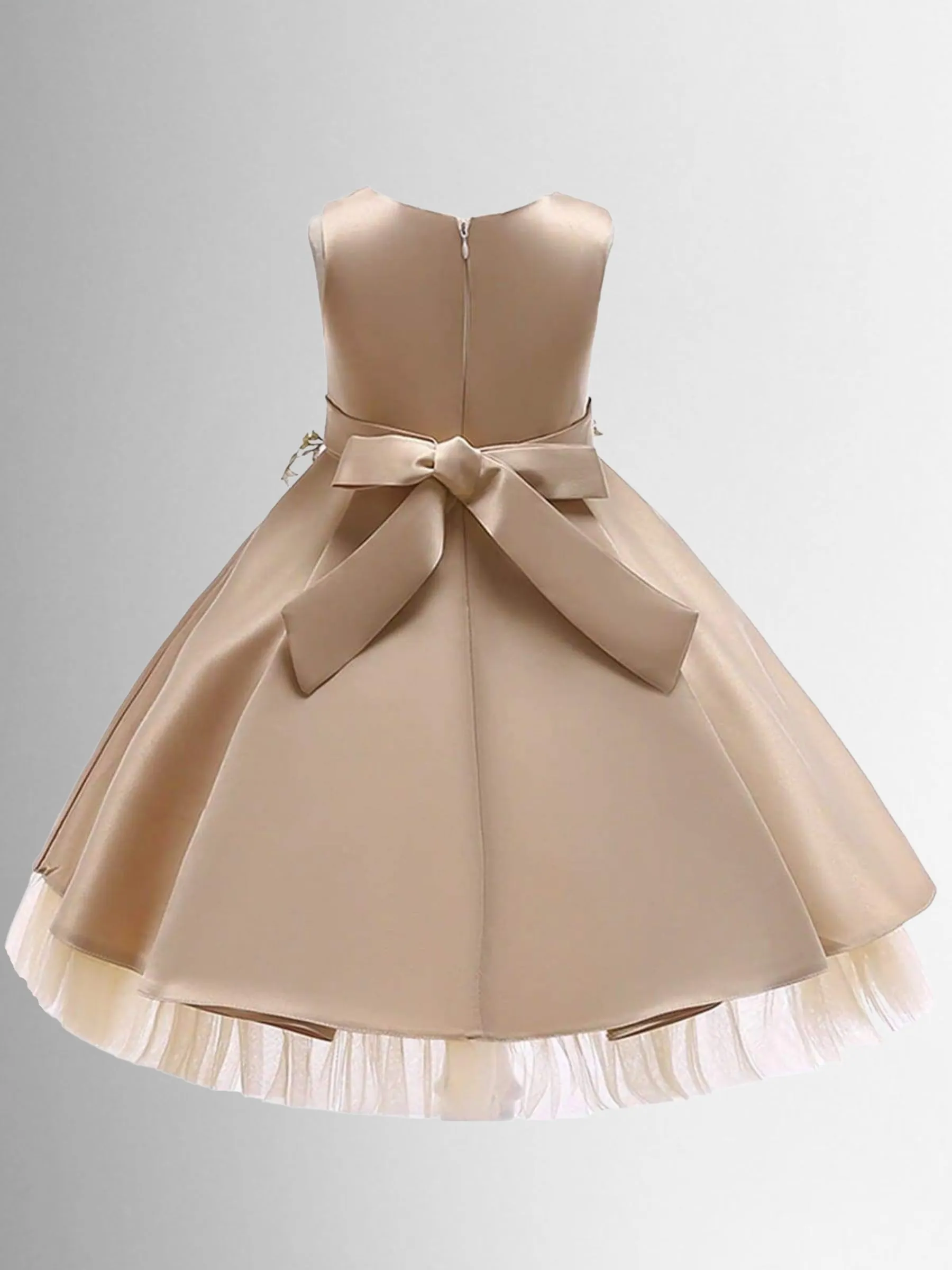 Regal Beauty Embellished Special Occasion Dress