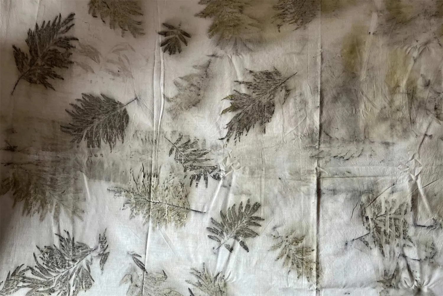 SHINY OAKS - 100% HANDLOOM COTTON FABRIC