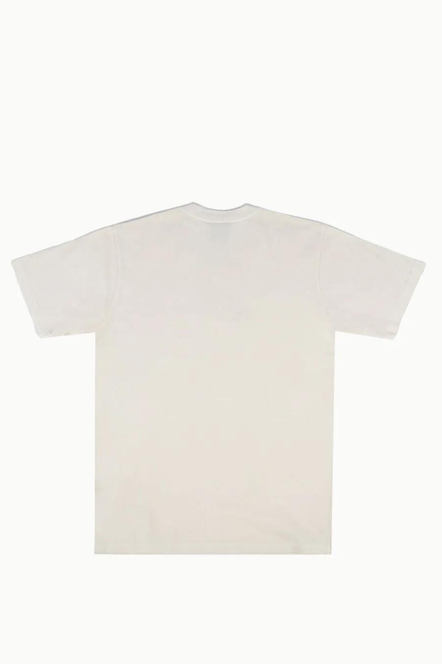 STUSSY PIGMENT DYED CREW NATURAL